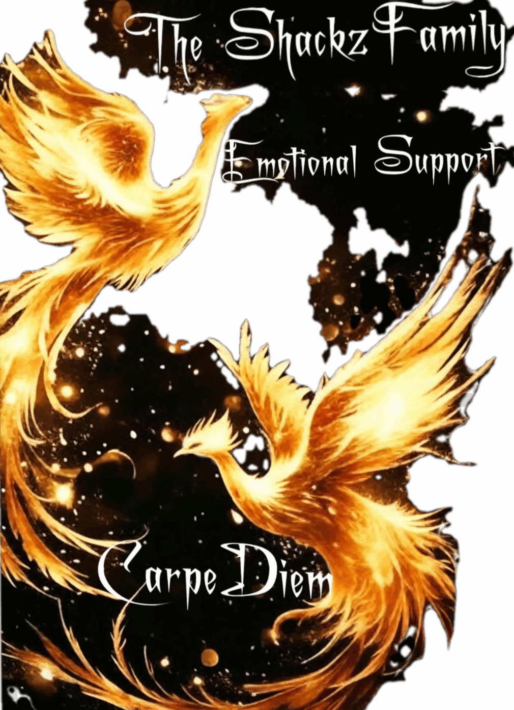 The Shackz Family Emotional Online Support